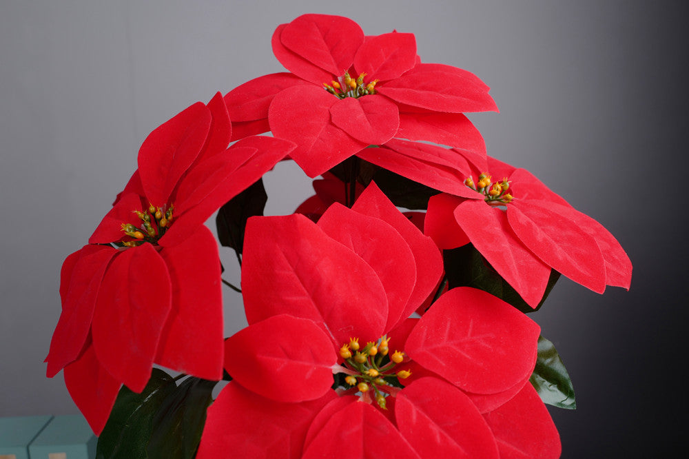 Bulk 20" Potted Red Poinsettia Flower in Vase Christmas Floral Arrangement Decoration Wholesale