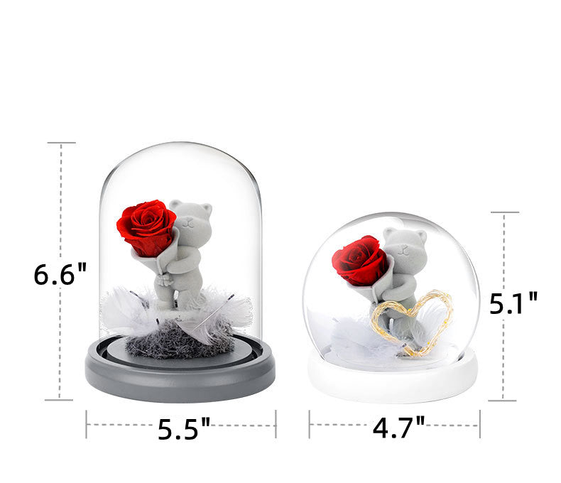 Cadeaux d'anniversaire de Saint-Valentin en gros Cadeaux d'ours en roses préservées dans un dôme en verre en gros
