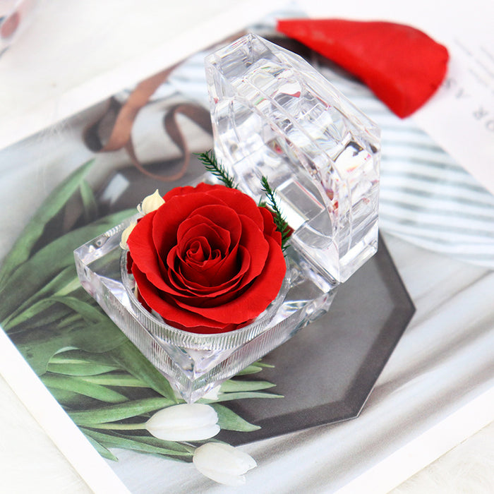 Regalos de rosas preservadas para siempre en caja de anillo de acrílico transparente 