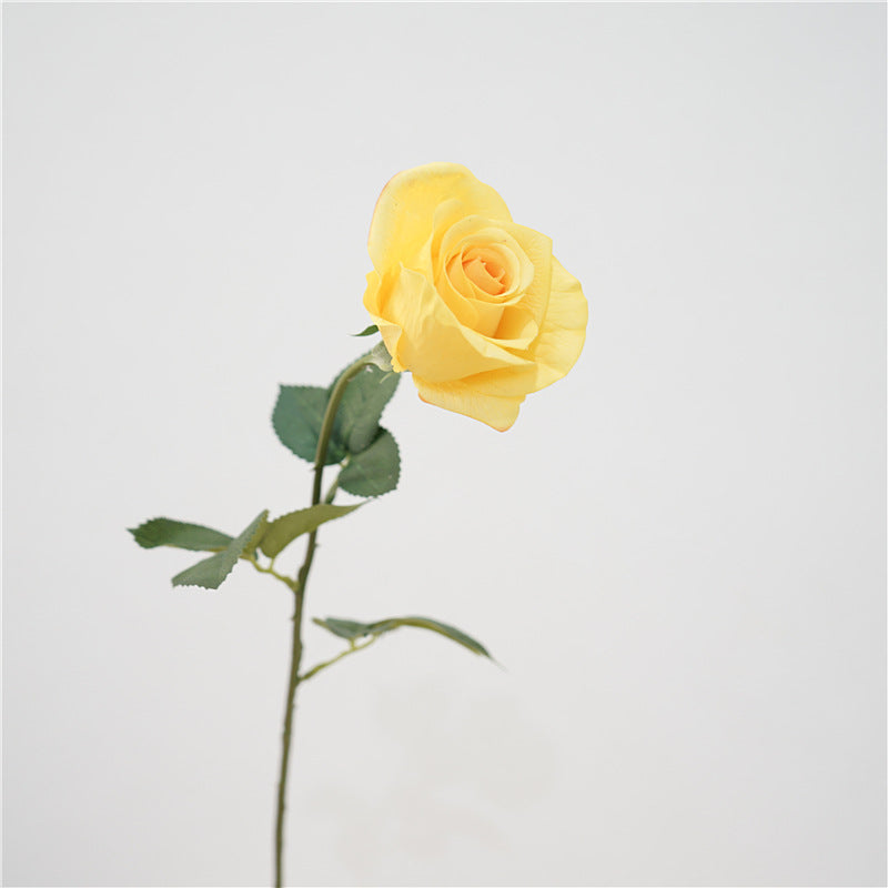 Bulk 26" Princess Diana Rose Stem Real Touch Artificial Flowers Wholesale