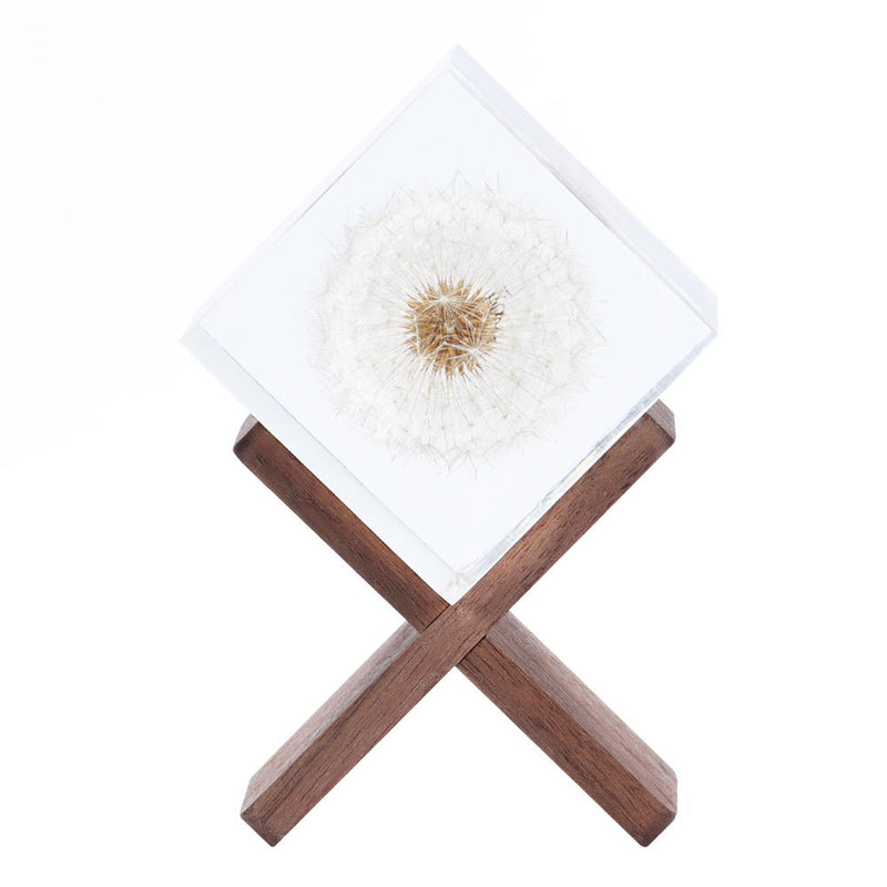 Fleur de pissenlit en résine en vrac, ornements de table en fleurs préservées, cadeaux de vacances en gros 