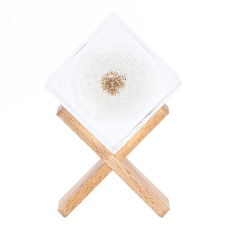 Fleur de pissenlit en résine en vrac, ornements de table en fleurs préservées, cadeaux de vacances en gros 