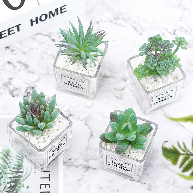 mini succulent pots bulk Bulk Mini Artificial Potted Succulent Plants in Transparent Glass Pot with Pebble Wholesale