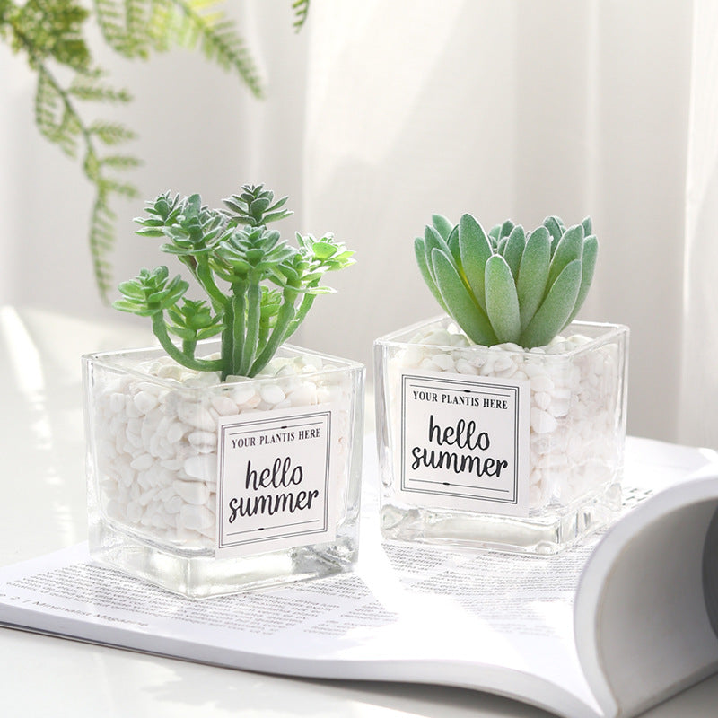 Bulk Mini Artificial Potted Succulent Plants in Transparent Glass Pot with Pebble Wholesale