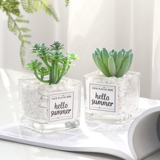 clear succulent pots Bulk Mini Artificial Potted Succulent Plants in Transparent Glass Pot with Pebble Wholesale