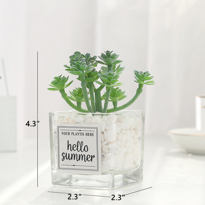 Bulk Small Artificial Succulent Plants Potted in Vase Transparent Glass Pot with Pebble Wholesale