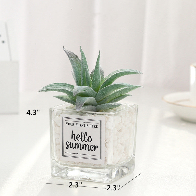 Bulk Mini Artificial Potted Succulent Plants in Transparent Glass Pot with Pebble Wholesale