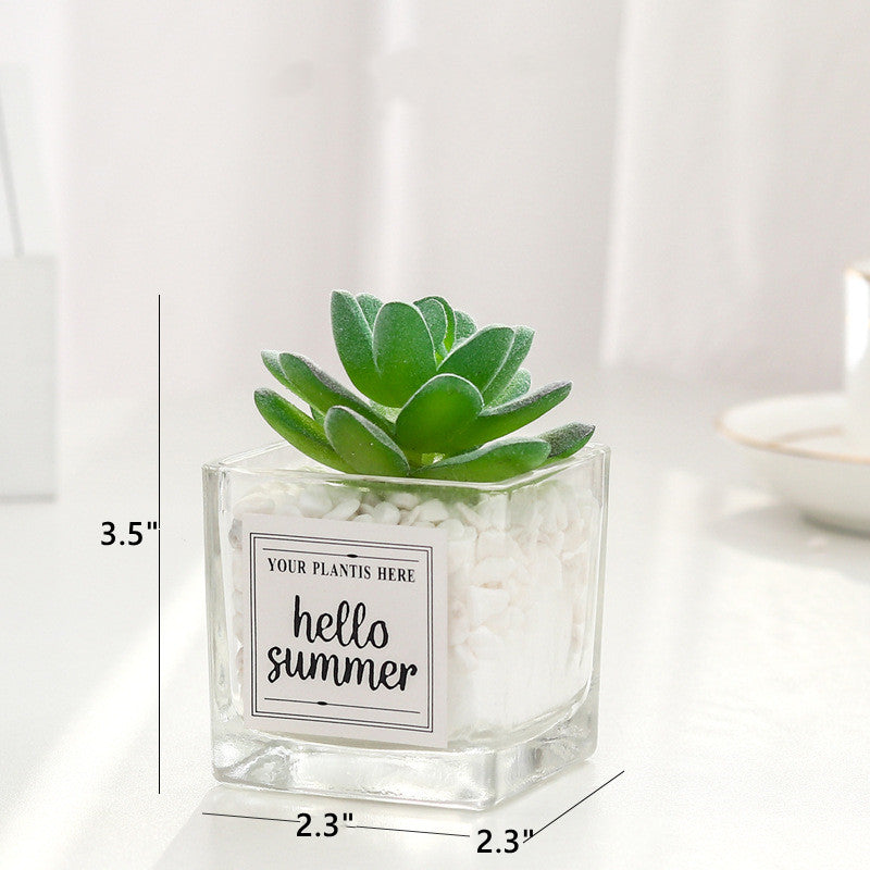 Bulk Mini Artificial Potted Succulent Plants in Transparent Glass Pot with Pebble Wholesale