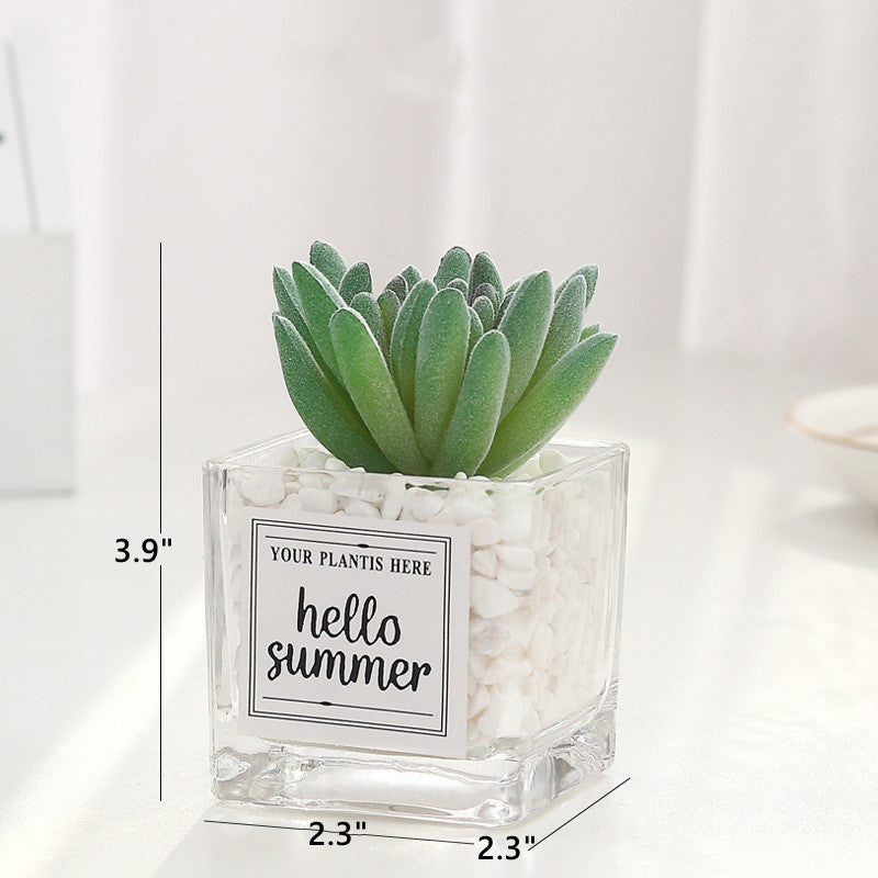 Bulk Mini Artificial Potted Succulent Plants in Transparent Glass Pot with Pebble Wholesale