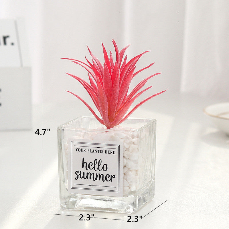 Bulk Mini Artificial Potted Succulent Plants in Transparent Glass Pot with Pebble Wholesale