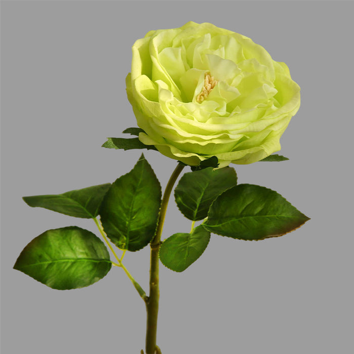 Venta al por mayor de flores artificiales de tallo de rosa de tacto Real de primavera de 17,7" a granel
