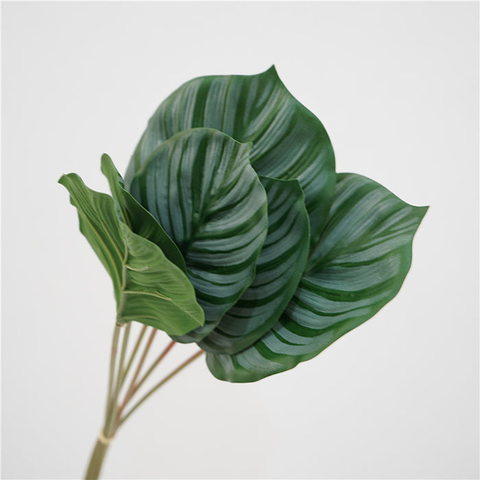 Venta al por mayor Artificial Calathea Orbifolia Turtle Leaf Tropical Arrowroot 6 Tallos 22 Pulgadas 