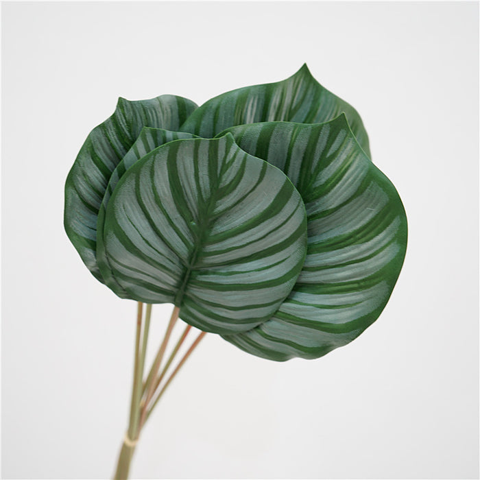 Venta al por mayor Artificial Calathea Orbifolia Turtle Leaf Tropical Arrowroot 6 Tallos 22 Pulgadas 