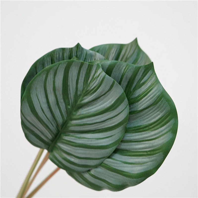 Wholesale Artificial Calathea Orbifolia Turtle Leaf Tropical Arrowroot 6 Stems 22 Inch