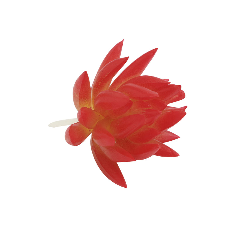 Bulk Artificial Mini Red Succulents Greenery Plant Wholesale