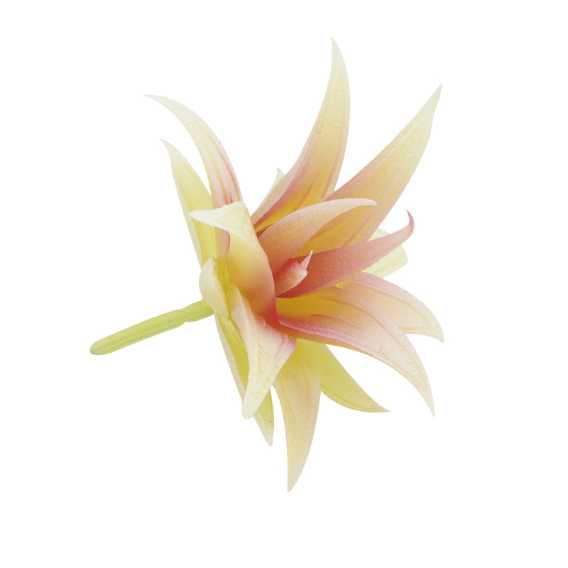 Bulk Artificial Mini Red Succulents Greenery Plant Wholesale