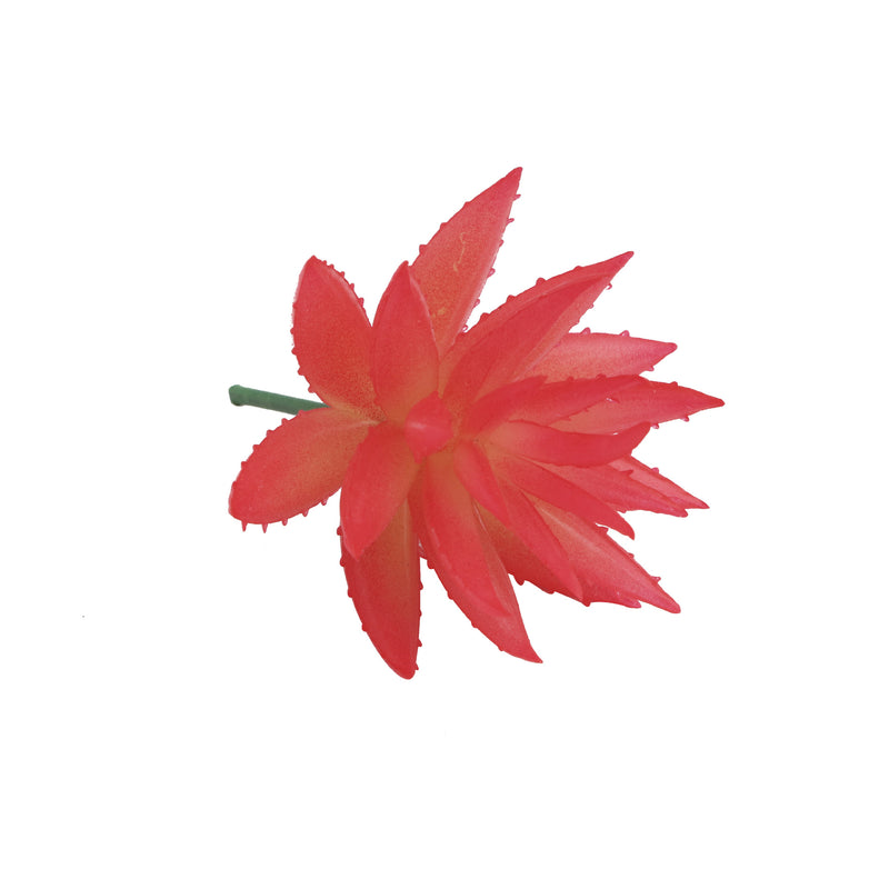 Bulk Artificial Mini Red Succulents Greenery Plant Wholesale