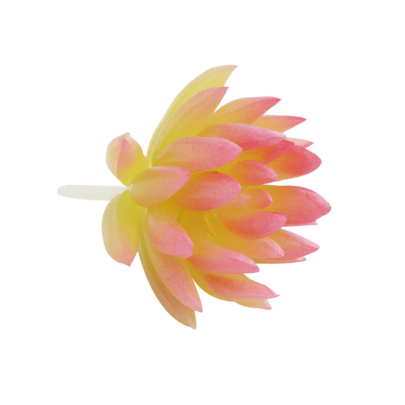 Bulk Artificial Mini Red Succulents Greenery Plant Wholesale