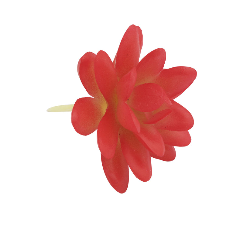 Bulk Artificial Mini Red Succulents Greenery Plant Wholesale