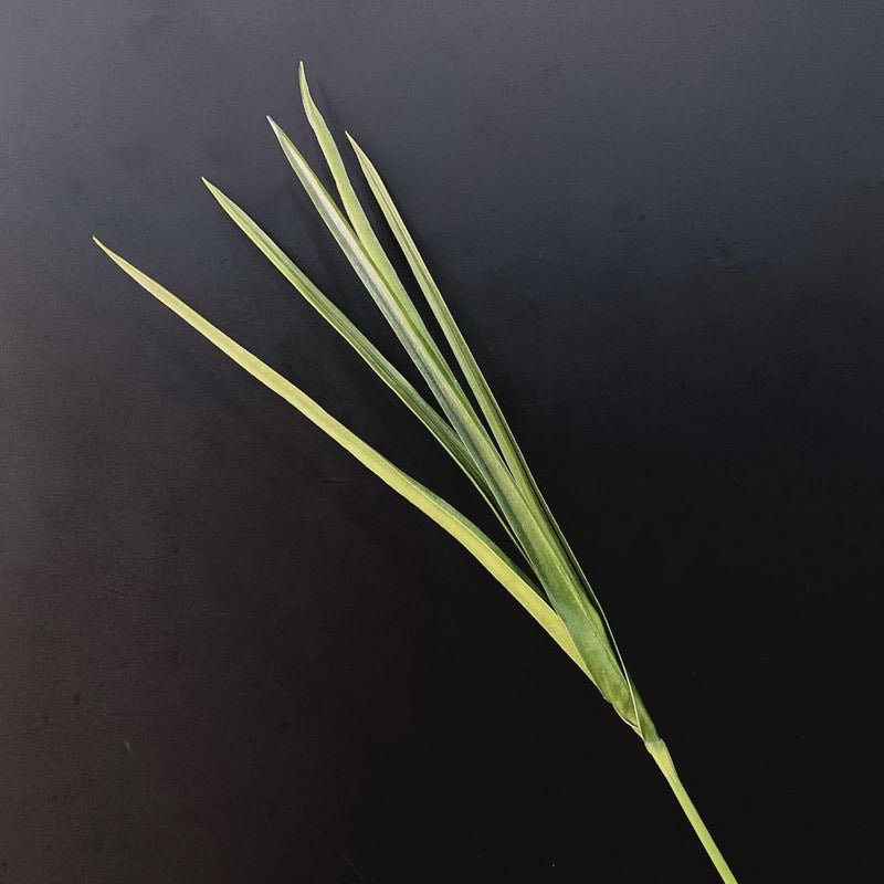 Feuilles de yucca artificielles en vrac, feuillage de citronnelle, tige de verdure, 35 pouces, vente en gros 