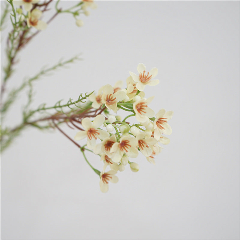 Bulk Artificial Rustic Wax Flowers Stem 31 Inch Wholesale