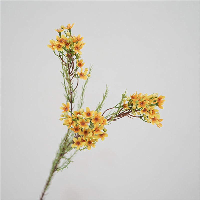 Bulk Artificial Rustic Wax Flowers Stem 31 Inch Wholesale
