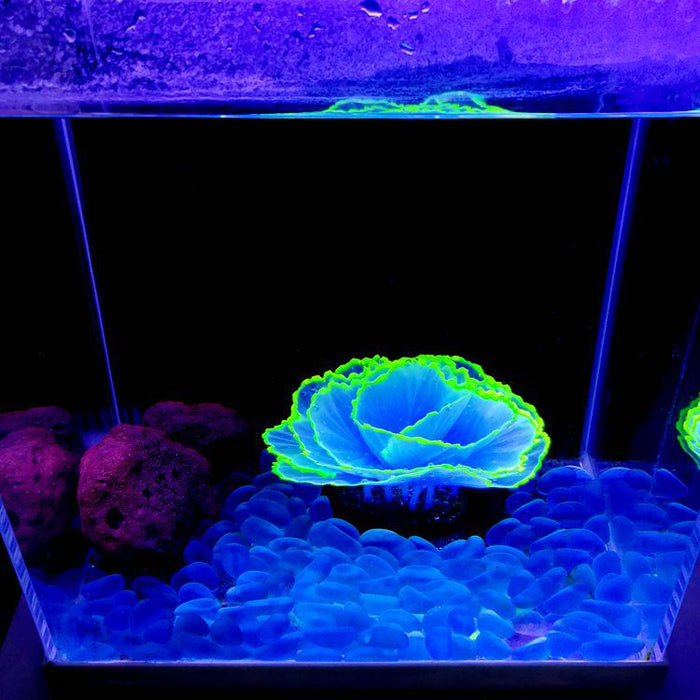 Bulk Glowing Effect Plants Aquarium Lettuce Coral Glow Plants for Fish Tank Wholesale