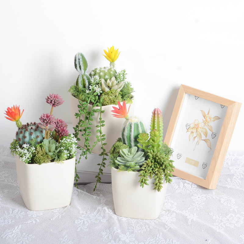 Bulk Artificial Potted Succulents in Pots Plant Gifts for Plant Lovers Wholesale