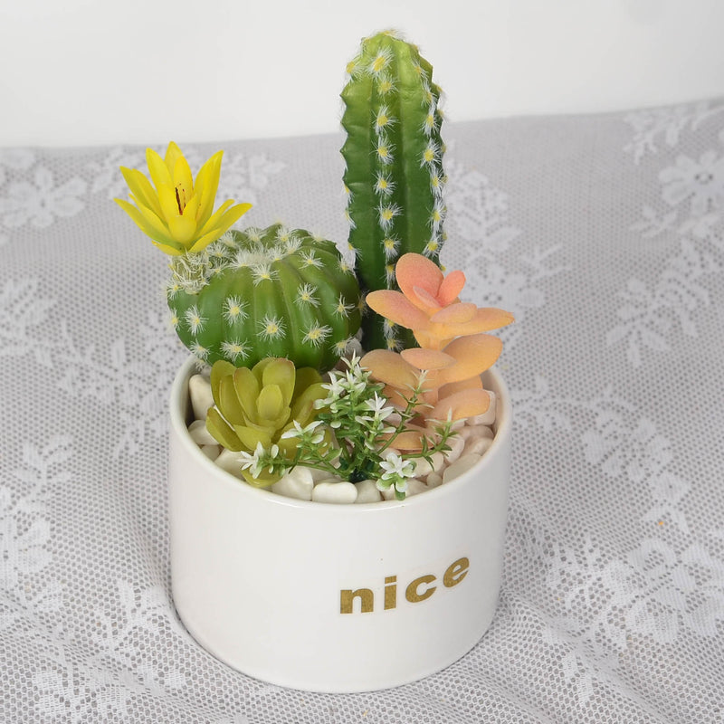 Bulk Artificial Potted Succulents in Pots Plant Gifts for Plant Lovers Wholesale