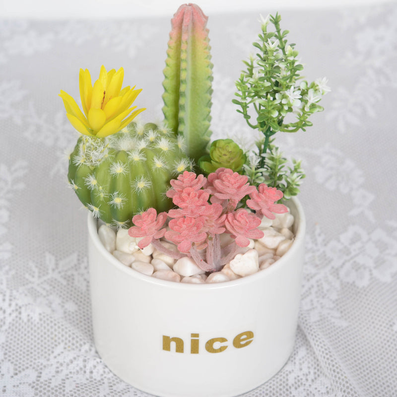 Bulk Artificial Potted Succulents in Pots Plant Gifts for Plant Lovers Wholesale