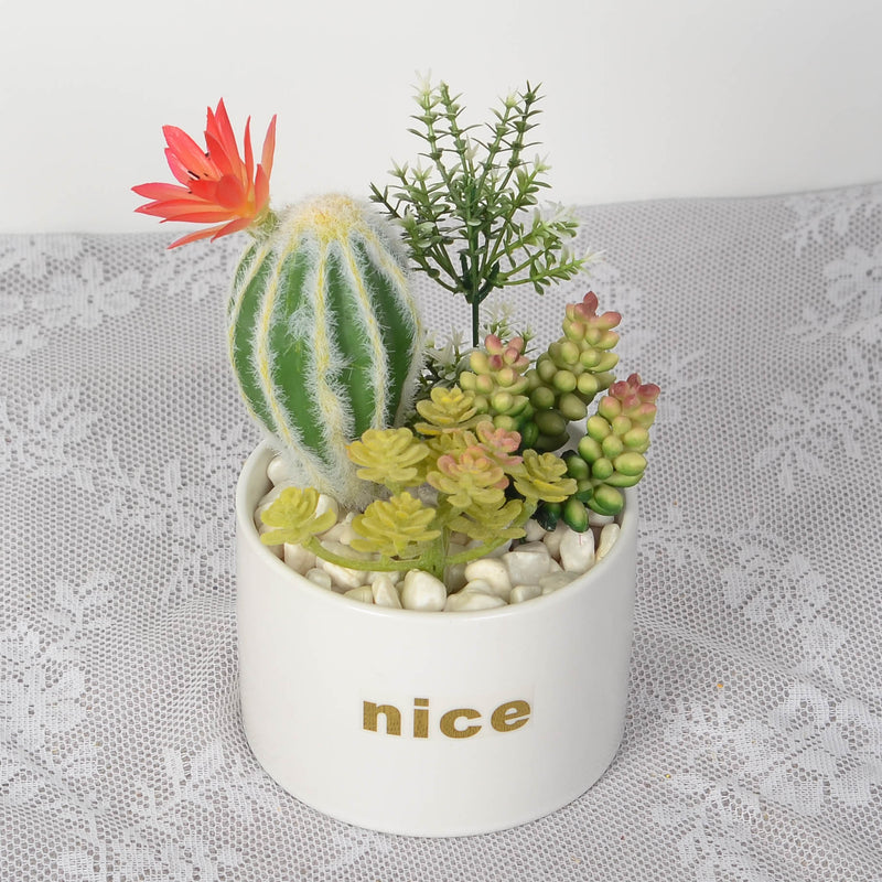 Bulk Artificial Potted Succulents in Pots Plant Gifts for Plant Lovers Wholesale