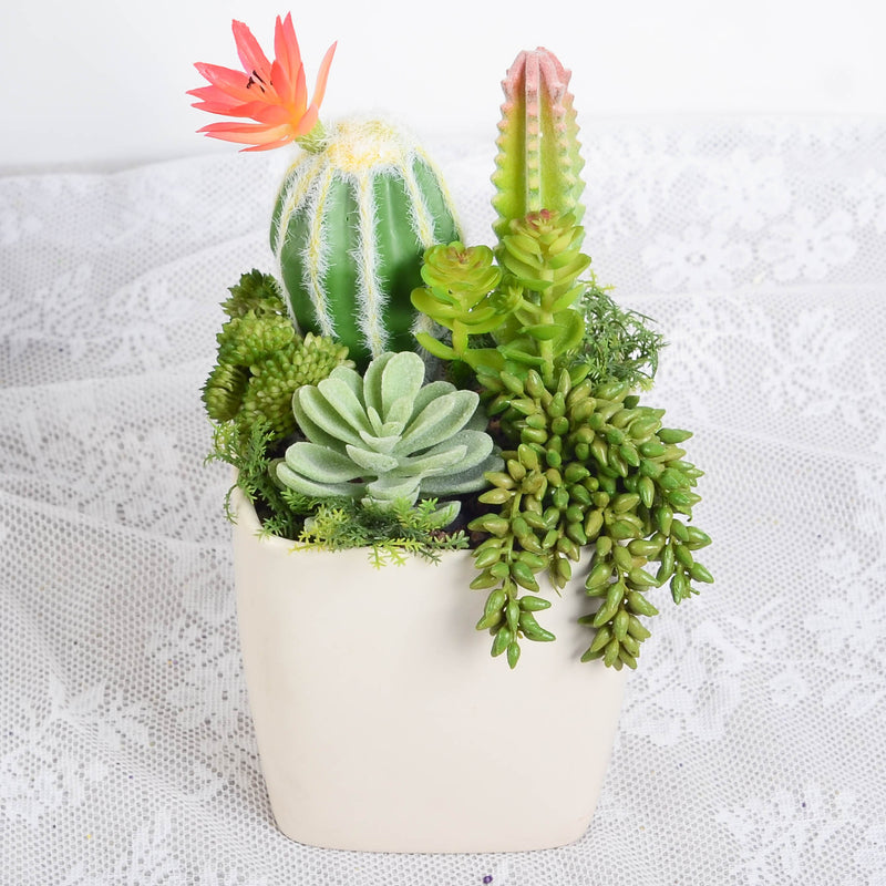 Bulk Artificial Potted Succulents in Pots Plant Gifts for Plant Lovers Wholesale