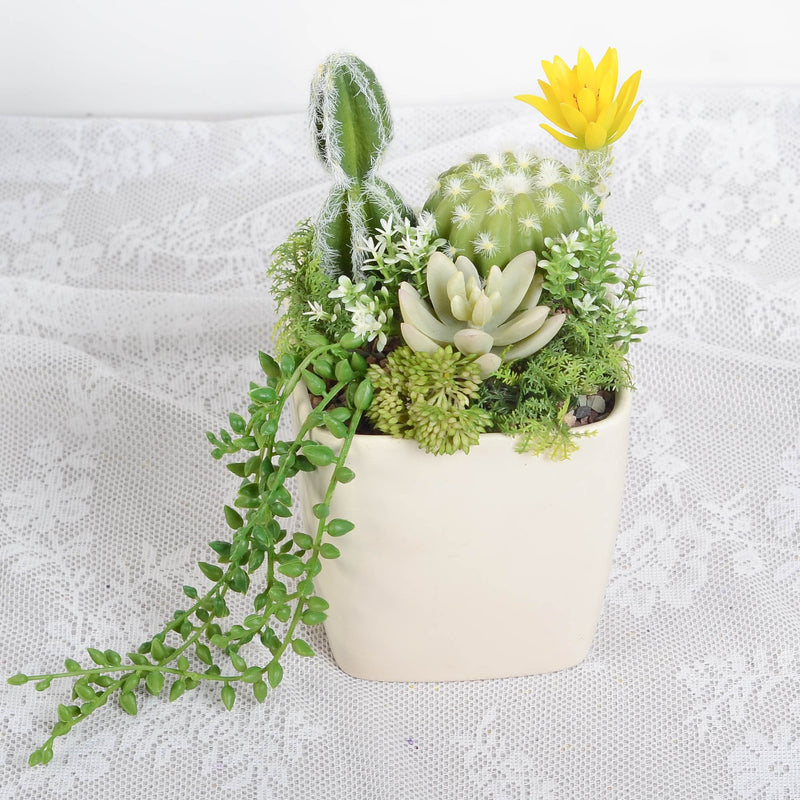 Bulk Artificial Potted Succulents in Pots Plant Gifts for Plant Lovers Wholesale