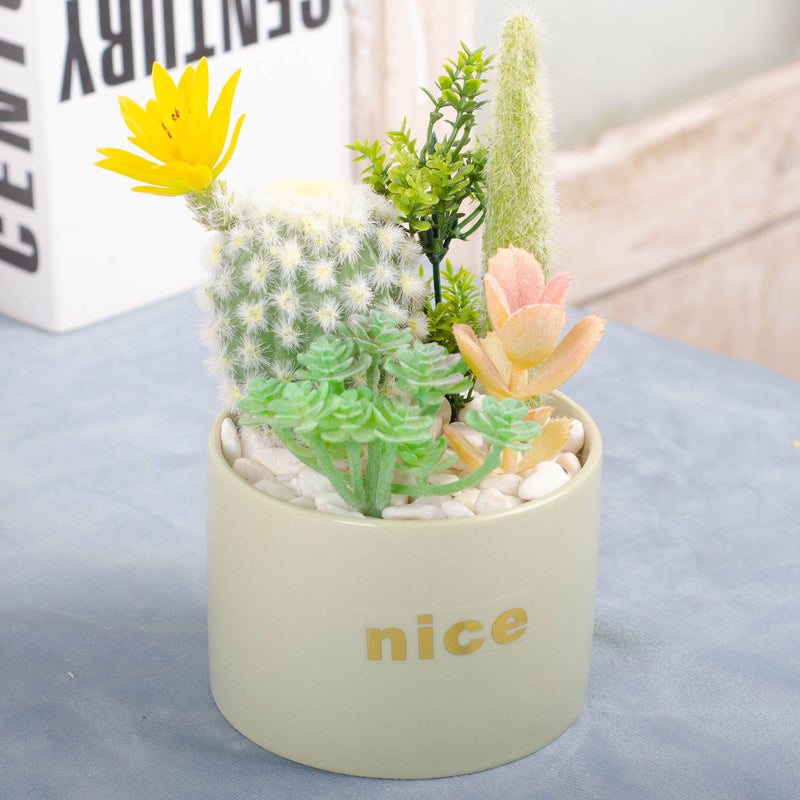 Bulk Artificial Potted Succulents in Pots Plant Gifts for Plant Lovers Wholesale