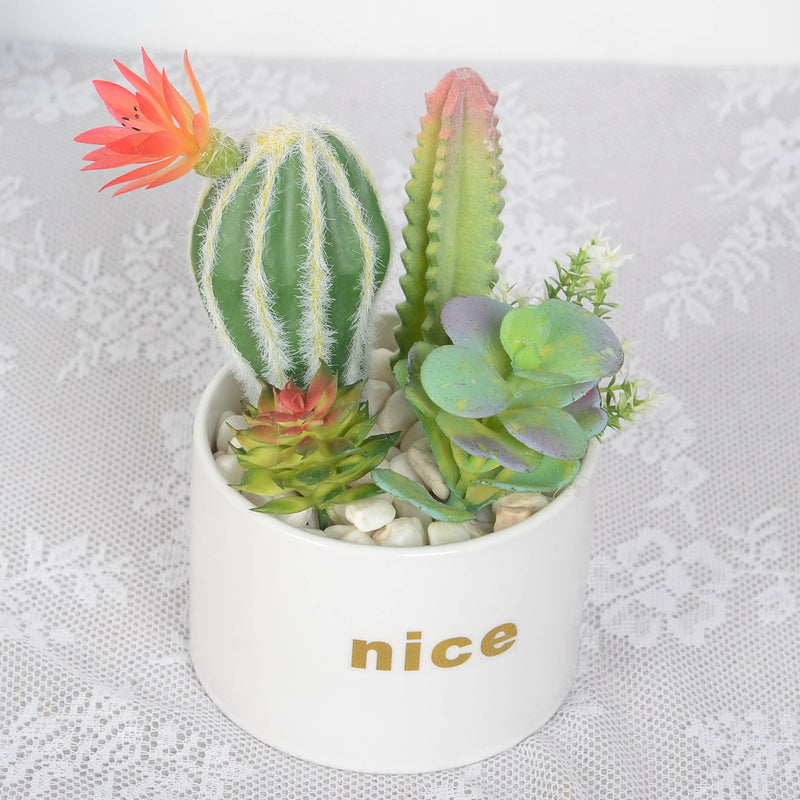 Bulk Artificial Potted Succulents in Pots Plant Gifts for Plant Lovers Wholesale