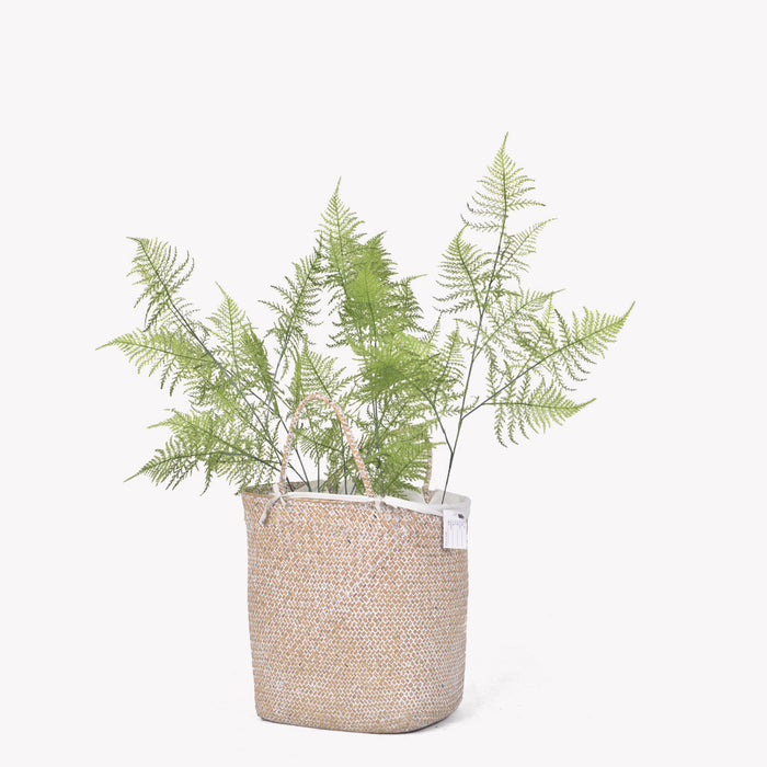 Bulk 34" Asparagus Fern Plants Stem Artificial Plants Wholesale