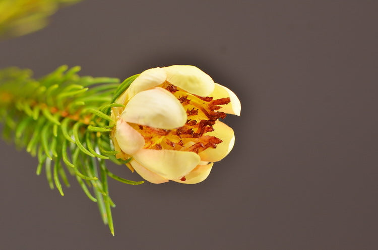 Ramas de pino de imitación de 26 "a granel al por mayor