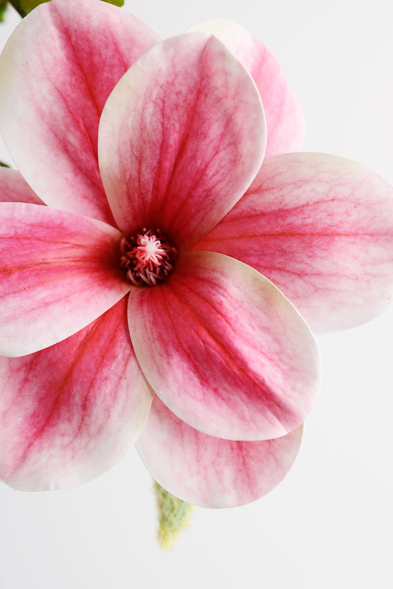 Venta al por mayor de flor de seda artificial de tallo de magnolias de 22 "a granel